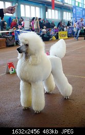 Нажмите на изображение для увеличения
Название: DSC07922.JPG
Просмотров: 214
Размер:	482.8 Кб
ID:	70650