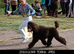 Нажмите на изображение для увеличения
Название: DSC_0050-5.jpg
Просмотров: 278
Размер:	537.7 Кб
ID:	70706