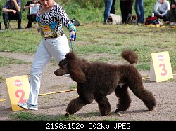 Нажмите на изображение для увеличения
Название: DSC_0051-5.jpg
Просмотров: 303
Размер:	502.0 Кб
ID:	70707