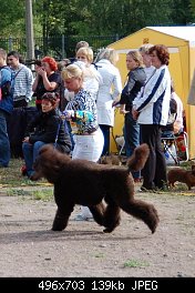 Нажмите на изображение для увеличения
Название: DSC_0065-5.jpg
Просмотров: 296
Размер:	139.0 Кб
ID:	70708