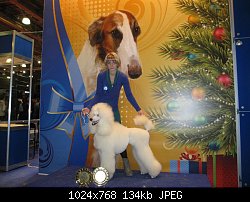 Нажмите на изображение для увеличения
Название: IMG_1915.jpg
Просмотров: 193
Размер:	133.6 Кб
ID:	70783