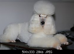 Нажмите на изображение для увеличения
Название: 0_a8c76_66a01336_L.jpg
Просмотров: 524
Размер:	28.4 Кб
ID:	70910