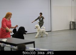 Нажмите на изображение для увеличения
Название: 0_a8cc9_9dca4471_L.jpg
Просмотров: 308
Размер:	30.1 Кб
ID:	70915