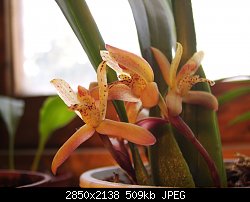Нажмите на изображение для увеличения
Название: STA70873.jpg
Просмотров: 184
Размер:	509.0 Кб
ID:	71144