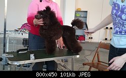 Нажмите на изображение для увеличения
Название: DSC_0491.JPG
Просмотров: 194
Размер:	100.8 Кб
ID:	71180