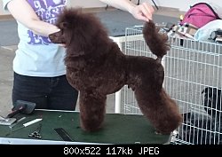 Нажмите на изображение для увеличения
Название: DSC_0504.jpg
Просмотров: 162
Размер:	117.1 Кб
ID:	71181