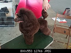 Нажмите на изображение для увеличения
Название: DSC_0510.jpg
Просмотров: 174
Размер:	127.4 Кб
ID:	71182