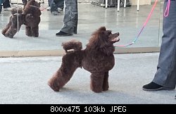 Нажмите на изображение для увеличения
Название: DSC_0517.jpg
Просмотров: 163
Размер:	103.3 Кб
ID:	71183