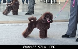 Нажмите на изображение для увеличения
Название: DSC_0518.jpg
Просмотров: 160
Размер:	97.3 Кб
ID:	71184