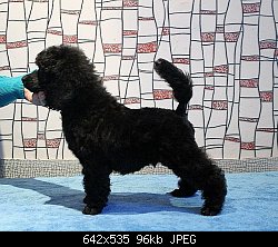 Нажмите на изображение для увеличения
Название: 2013.01.19.1.jpg
Просмотров: 313
Размер:	96.5 Кб
ID:	71261