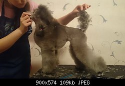 Нажмите на изображение для увеличения
Название: Копия DSC_0649.jpg
Просмотров: 195
Размер:	108.5 Кб
ID:	71359