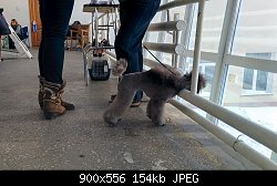Нажмите на изображение для увеличения
Название: Копия IMG_20140126_135413.jpg
Просмотров: 194
Размер:	153.5 Кб
ID:	71361