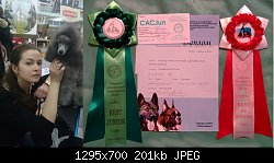 Нажмите на изображение для увеличения
Название: Копия DSC_0685.jpg
Просмотров: 179
Размер:	201.5 Кб
ID:	71466