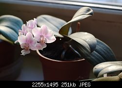 Нажмите на изображение для увеличения
Название: DSC_1024.jpg
Просмотров: 189
Размер:	251.0 Кб
ID:	71503