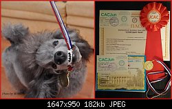 Нажмите на изображение для увеличения
Название: Форти ЮЧ.jpg
Просмотров: 348
Размер:	181.5 Кб
ID:	71893