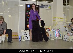 Нажмите на изображение для увеличения
Название: 1669826_1443092855925603_3149139_o.jpg
Просмотров: 209
Размер:	325.6 Кб
ID:	71904