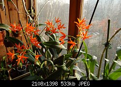 Нажмите на изображение для увеличения
Название: DSC_1038.jpg
Просмотров: 190
Размер:	532.6 Кб
ID:	71940