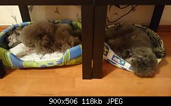 Нажмите на изображение для увеличения
Название: DSC_1159.jpg
Просмотров: 154
Размер:	117.6 Кб
ID:	72330