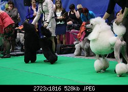 Нажмите на изображение для увеличения
Название: IMG_0765.jpg
Просмотров: 219
Размер:	527.7 Кб
ID:	72487
