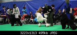 Нажмите на изображение для увеличения
Название: IMG_0769-1.jpg
Просмотров: 221
Размер:	495.1 Кб
ID:	72488