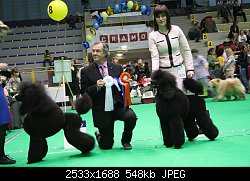Нажмите на изображение для увеличения
Название: IMG_0774.jpg
Просмотров: 214
Размер:	548.0 Кб
ID:	72491