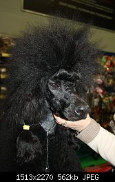 Нажмите на изображение для увеличения
Название: IMG_0709.jpg
Просмотров: 219
Размер:	562.3 Кб
ID:	72492