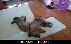 Нажмите на изображение для увеличения
Название: Копия DSC_1289.JPG
Просмотров: 177
Размер:	97.7 Кб
ID:	72504