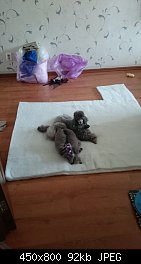 Нажмите на изображение для увеличения
Название: Копия DSC_1297.JPG
Просмотров: 163
Размер:	92.2 Кб
ID:	72506