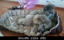 Нажмите на изображение для увеличения
Название: Копия DSC_1308.JPG
Просмотров: 170
Размер:	131.9 Кб
ID:	72507