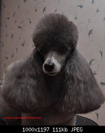 Нажмите на изображение для увеличения
Название: DSC_0006.jpg
Просмотров: 169
Размер:	110.7 Кб
ID:	72643