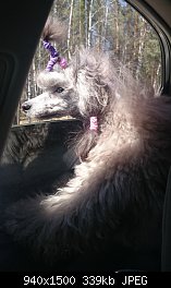 Нажмите на изображение для увеличения
Название: DSC_1386.jpg
Просмотров: 186
Размер:	339.1 Кб
ID:	72644