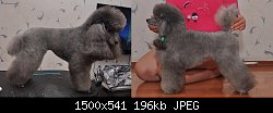 Нажмите на изображение для увеличения
Название: DSC_0029_.jpg
Просмотров: 387
Размер:	196.5 Кб
ID:	72645