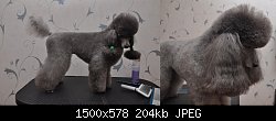 Нажмите на изображение для увеличения
Название: DSC_0007.jpg
Просмотров: 363
Размер:	203.5 Кб
ID:	72646