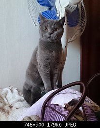 Нажмите на изображение для увеличения
Название: DSC_1634.jpg
Просмотров: 193
Размер:	179.3 Кб
ID:	72707