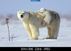 Нажмите на изображение для увеличения
Название: 103152106g.jpg
Просмотров: 228
Размер:	22.0 Кб
ID:	72744