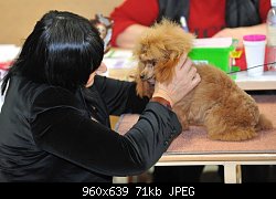 Нажмите на изображение для увеличения
Название: 601144_4539887530259_803857422_n.jpg
Просмотров: 259
Размер:	71.1 Кб
ID:	73164