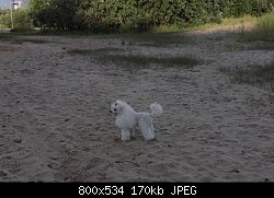 Нажмите на изображение для увеличения
Название: IMG_5769копи.jpg
Просмотров: 249
Размер:	170.3 Кб
ID:	73234