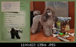 Нажмите на изображение для увеличения
Название: ючнкп.jpg
Просмотров: 173
Размер:	135.1 Кб
ID:	73598