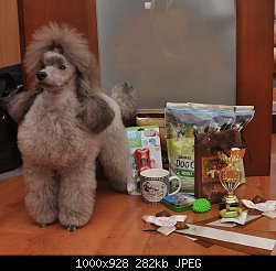 Нажмите на изображение для увеличения
Название: DSC_0010.jpg
Просмотров: 183
Размер:	281.5 Кб
ID:	73599