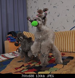 Нажмите на изображение для увеличения
Название: DSC_0043.jpg
Просмотров: 177
Размер:	130.5 Кб
ID:	73603