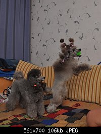 Нажмите на изображение для увеличения
Название: DSC_0047.jpg
Просмотров: 167
Размер:	106.2 Кб
ID:	73604