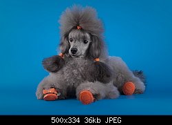 Нажмите на изображение для увеличения
Название: Копия wDSC_4487.jpg
Просмотров: 248
Размер:	36.0 Кб
ID:	73760