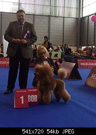 Нажмите на изображение для увеличения
Название: Бреди Европа 2.jpg
Просмотров: 415
Размер:	53.6 Кб
ID:	74055
