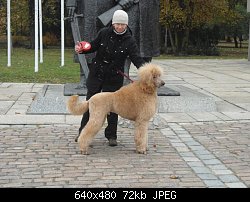 Нажмите на изображение для увеличения
Название: Арни в Познани.jpeg
Просмотров: 490
Размер:	71.5 Кб
ID:	74453