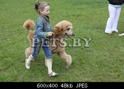 Нажмите на изображение для увеличения
Название: Арни  и Ариша ЮХ.jpeg
Просмотров: 535
Размер:	47.5 Кб
ID:	74454