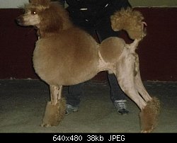 Нажмите на изображение для увеличения
Название: Арни ночью.jpeg
Просмотров: 738
Размер:	38.2 Кб
ID:	74458