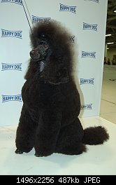 Нажмите на изображение для увеличения
Название: DSC_1154-1.jpg
Просмотров: 209
Размер:	487.3 Кб
ID:	74576