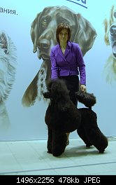 Нажмите на изображение для увеличения
Название: DSC_1122-1.jpg
Просмотров: 222
Размер:	478.2 Кб
ID:	74579