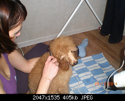 Нажмите на изображение для увеличения
Название: CIMG5733.jpg
Просмотров: 192
Размер:	404.5 Кб
ID:	74734