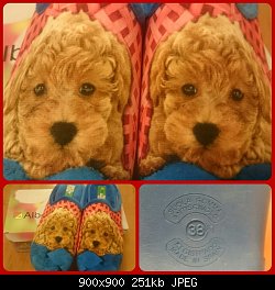 Нажмите на изображение для увеличения
Название: collage_20150111195803022.jpg
Просмотров: 382
Размер:	250.6 Кб
ID:	75013